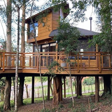 Casa Na Arvore Morada Dos Vagalumes Farroupilha Exteriér fotografie