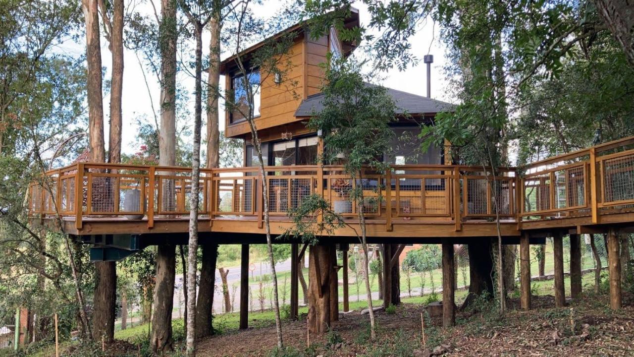 Casa Na Arvore Morada Dos Vagalumes Farroupilha Exteriér fotografie